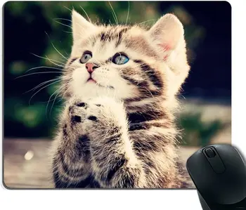Милый кот молится, уникальный дизайн, прекрасный котенок, индивидуальный коврик для мыши